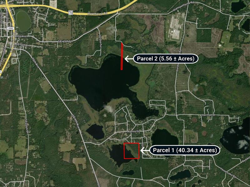 2 Parcels, Land Auction : Hawthorne : Putnam County : Florida