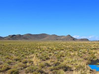 5 Acres of Peaceful Colorado Land : Fort Garland : Costilla County : Colorado