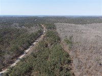 Wooded Land Near Pickwick Lake : Savannah : Hardin County : Tennessee