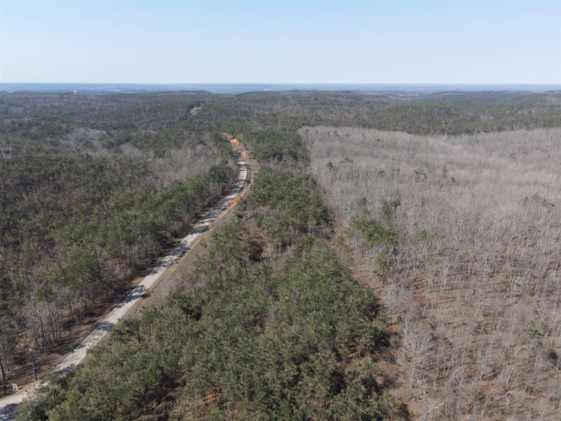 Wooded Land Near Pickwick Lake : Savannah : Hardin County : Tennessee