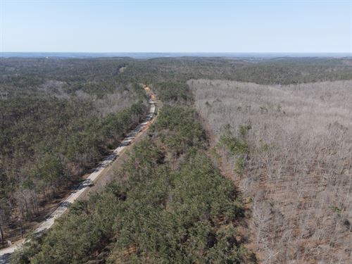 Wooded Land Near Pickwick Lake : Savannah : Hardin County : Tennessee