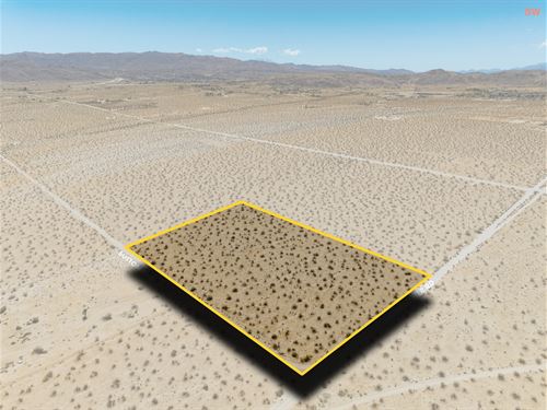 Wide-Open Desert Lot, $1,491.31/Mo : Joshua Tree : San Bernardino County : California