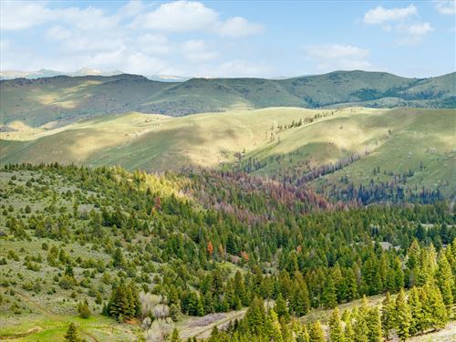 Baker/Malheur 1676 : Bridgeport : Baker County : Oregon