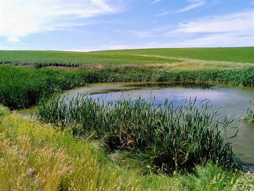 Round Bale Ranch : Craig : Moffat County : Colorado