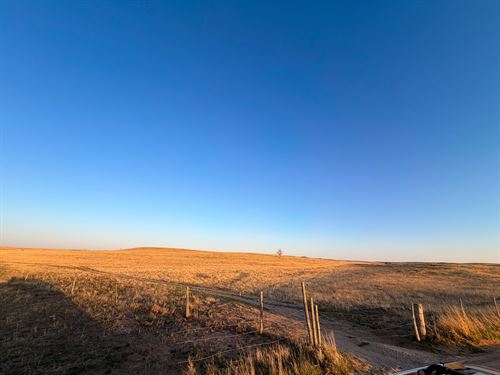 East Bijou Lone Tree Ranch : Simla : Elbert County : Colorado