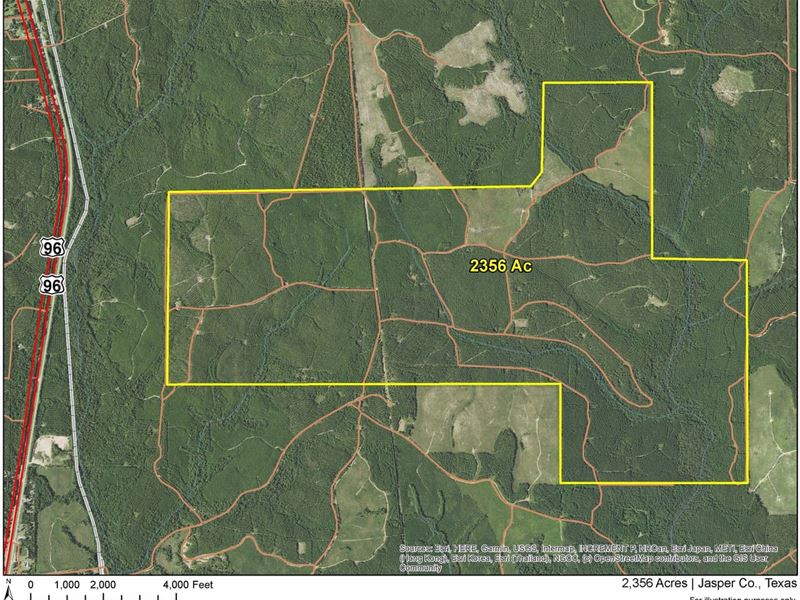 2356 Acres, 6707-6708 : Jasper : Jasper County : Texas