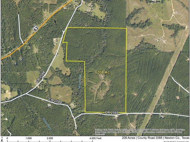 208 Acres, County Road 2088, 6905 : Burkeville : Newton County : Texas