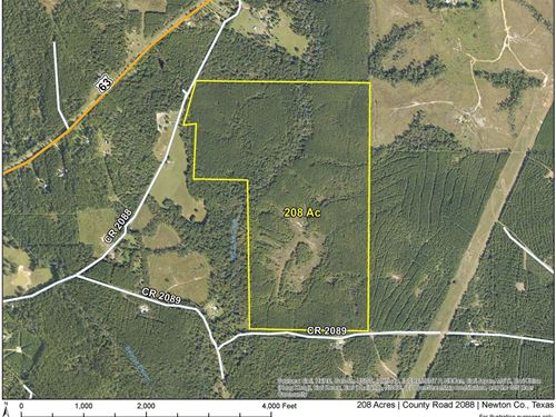 208 Acres, County Road 2088, 6905 : Burkeville : Newton County : Texas