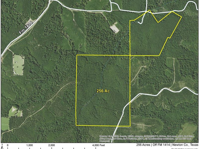 256 Acres, Off FM 1414, 6909 : Burkeville : Newton County : Texas