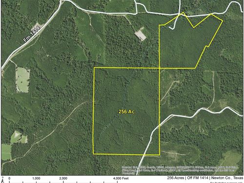 256 Acres, Off FM 1414, 6909 : Burkeville : Newton County : Texas