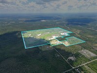 298 Acres Fountain FL Hunting Ranch : Fountain : Bay County : Florida
