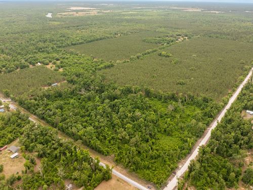 125 Acres, Paved Road Frontage : Live Oak : Suwannee County : Florida