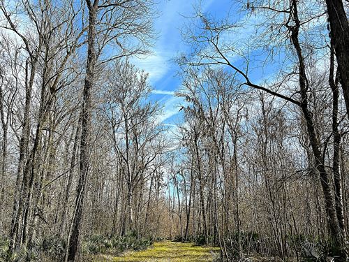 Seven Bridges Road Farm : Montgomery : Alabama