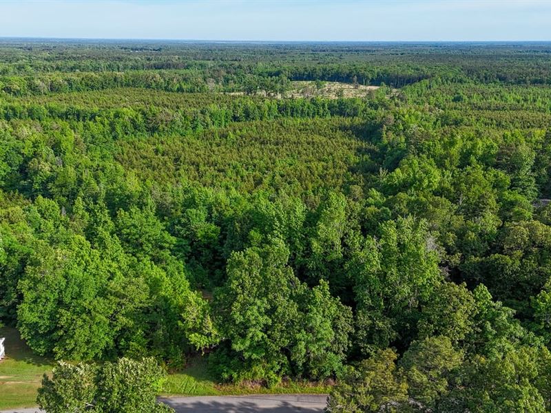Avalon Road Tract : Star City : Lincoln County : Arkansas