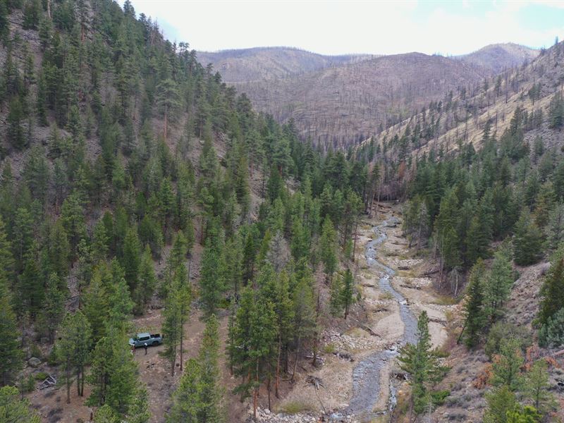 Black Hollow Retreat : Bellvue : Larimer County : Colorado