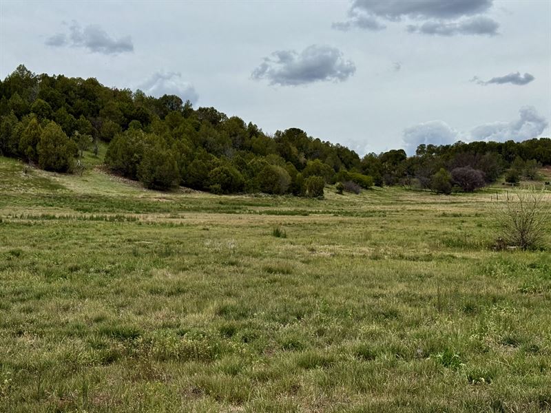 River Valley Reserve Phase II : Durango : La Plata County : Colorado