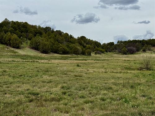 River Valley Reserve Phase II : Durango : La Plata County : Colorado
