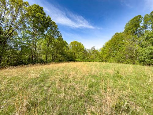 Perry Ridge Parcel 2, 28 Acres : Wilkesville : Vinton County : Ohio