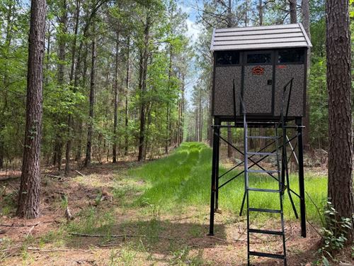 Saline Lake Hunting Property And Lo : Winnfield : Winn Parish : Louisiana