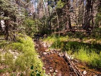 County Road 46, Aguilar, CO 81 : Aguilar : Las Animas County : Colorado