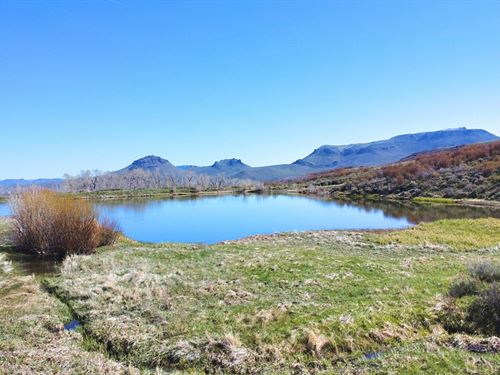 Wilderness 40 : Craig : Moffat County : Colorado