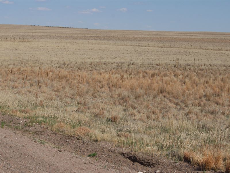 Kimball County Crp : Bushnell : Kimball County : Nebraska