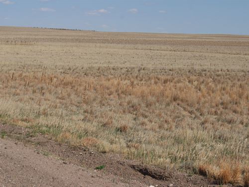 Kimball County Crp : Bushnell : Kimball County : Nebraska