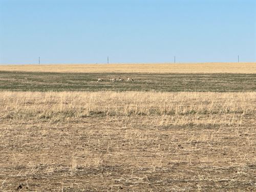 Kiowa County Farmland, 26026 : Arlington : Kiowa County : Colorado