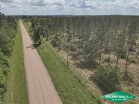 18 ac, Timberland for Home Site : Huntington : Angelina County : Texas
