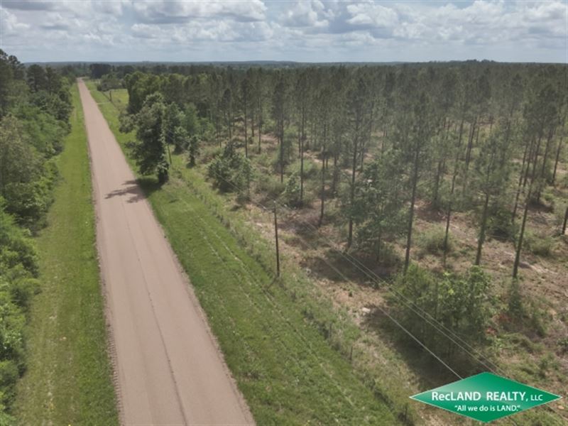18 ac, Timberland for Home Site : Huntington : Angelina County : Texas