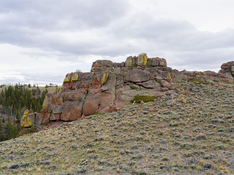 Laramie Overlook 40 : Livermore : Larimer County : Colorado