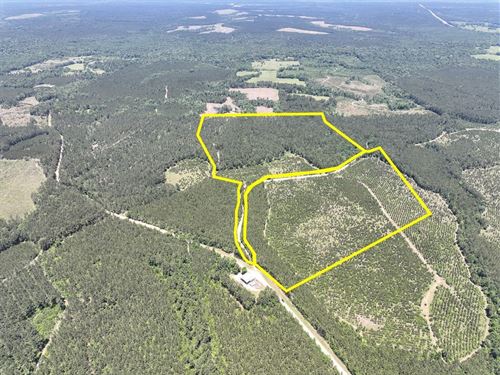 50 Acres, T-14, Union Springs Rd : Corrigan : Polk County : Texas