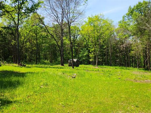 15 Acres in Hickory County, MO : Polk : Hickory County : Missouri