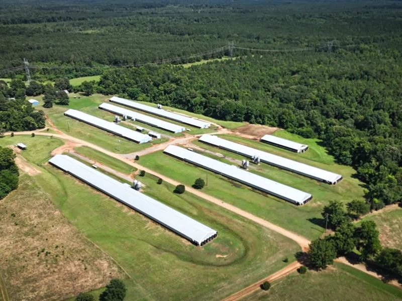 21 Acre Poultry Farm in Union Paris : Dubach : Union Parish : Louisiana