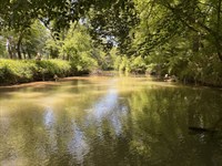 Creek Frontage, Timber, Open : Taylorsville : Bartow County : Georgia