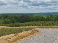 Panoramic Views, Close to The Park : Dunlap : Sequatchie County : Tennessee