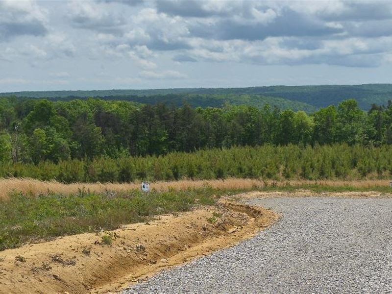 Panoramic Views, Close to The Park : Dunlap : Sequatchie County : Tennessee