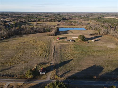Beautiful Farm with Pond and Timber : Nashville : Nash County : North Carolina