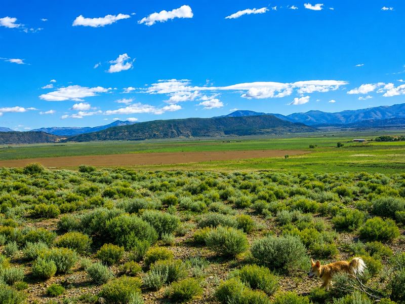 5.32 Acres in Costilla County : Fort Garland : Costilla County : Colorado