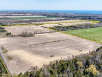 Land Auction, Sanilac Co, MI : Carsonville : Sanilac County : Michigan