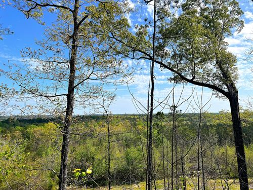 The Barrett Place : Marbury : Autauga County : Alabama