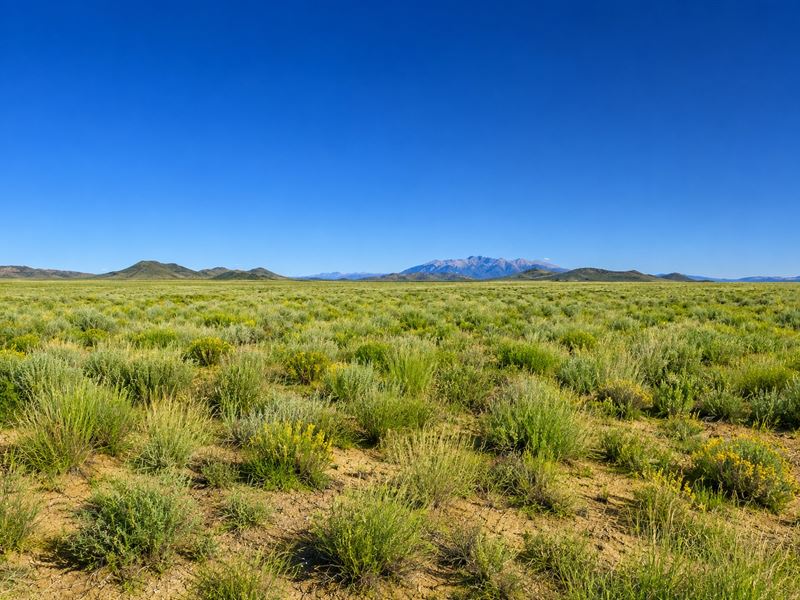 5 Acres of Peaceful Colorado Land : San Luis : Costilla County : Colorado