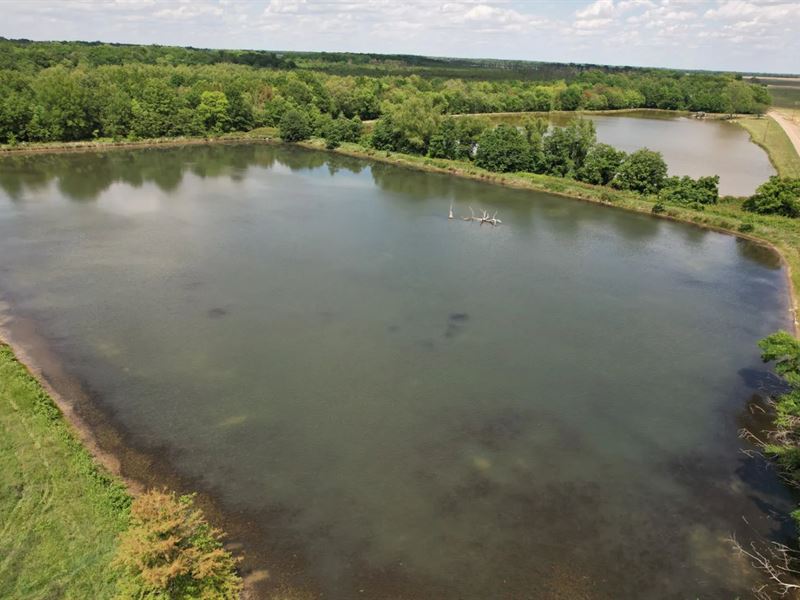 145 Acres in Coahoma County in Alli : Alligator : Coahoma County : Mississippi