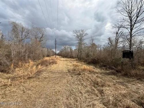 470 Acres on Calcasieu River in All : Reeves : Allen Parish : Louisiana