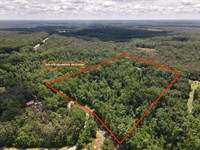 Wooded Land in TN : Savannah : Hardin County : Tennessee
