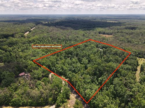 Wooded Land in TN : Savannah : Hardin County : Tennessee