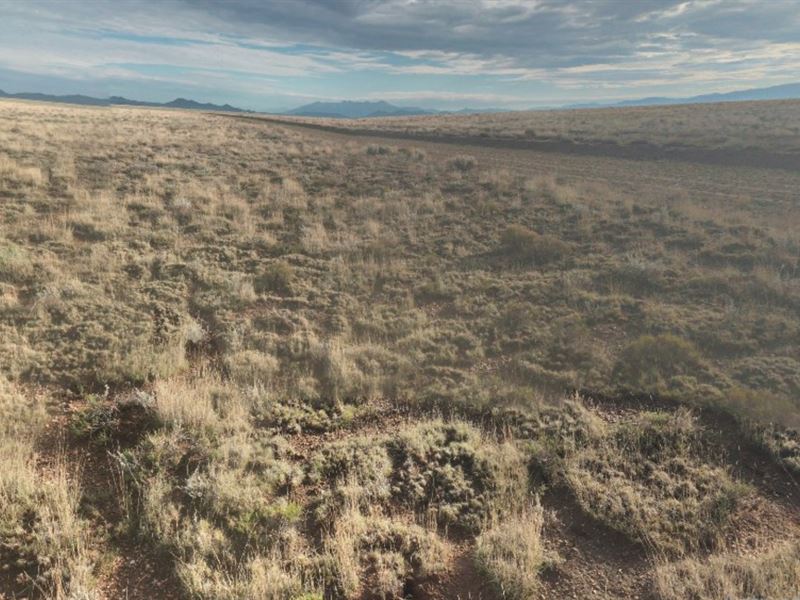 5 Acres Colorado Opportunity : Mesita : Costilla County : Colorado