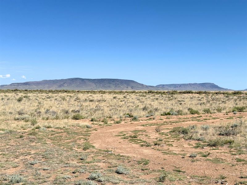 5 Acres Near The Rio Grande River : San Luis : Costilla County : Colorado