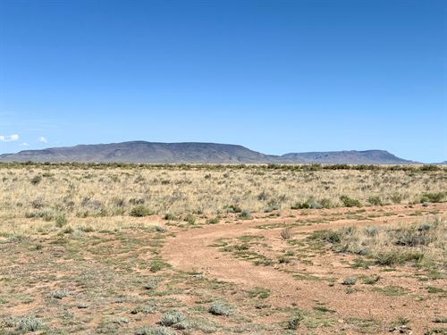 5 Acres Near The Rio Grande River : San Luis : Costilla County : Colorado