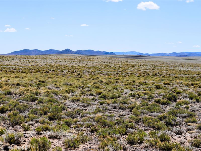 Create Your Mountain Dream Home : Blanca : Costilla County : Colorado
